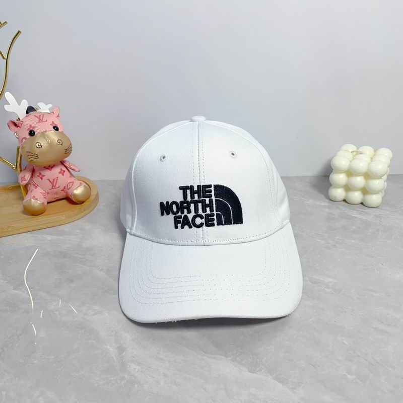 The North Face cap dx (24)